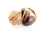 Sweet chestnuts 