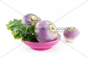 purple headed turnips 