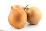 Ripe golden onions 