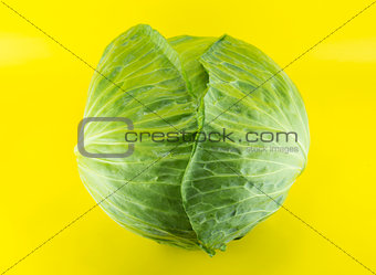 Fresh green cabbage 