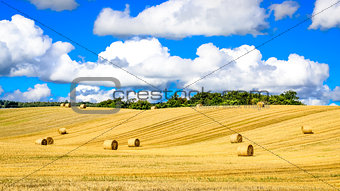 Wheat field with straw bales and blue cloudy sky
