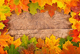 Fall leaf border
