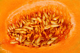 Yellow melon seeds inside