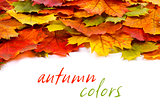Colorful leaf border