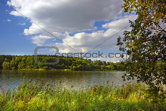 Summer landscape with a river and green grass