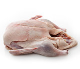 Raw Whole Duck 