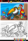 exotic birds group for coloring book