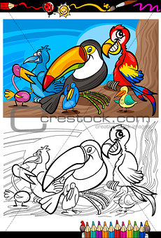 exotic birds group for coloring book