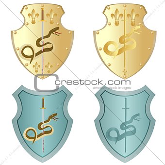 Shield and sword with a snake