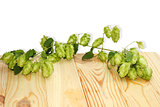 branch of hops on a wooden table