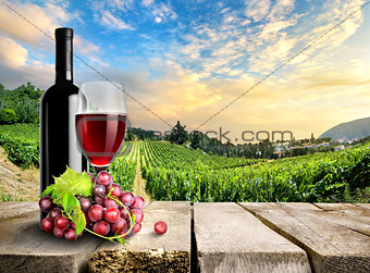 Wine with grape and vineyard