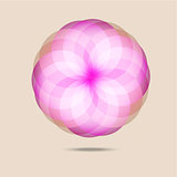 Pink flower blossom in the air abstract background