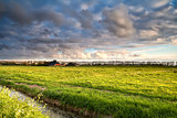 Dutch farmland in golden before sunset light