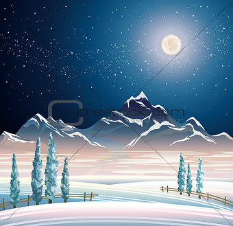 Winter night landscape