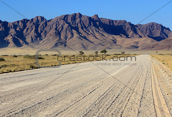 Grassy Savannah with mountains in background, Namib desert road 