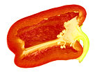 cut pepper isolated