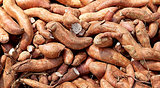 Sweet potato yam carbohydrate background