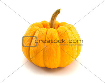 yellow Pumpkin
