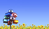 Colorful nesting boxes and sunflowers