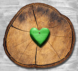 Green Heart on Section of Tree Trunk