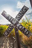 Antique Country Rail Road Crossing Sign Near a Corn Field 
