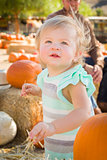 Adorable Baby Girl Having Fun at the Pumpkin Patch 
