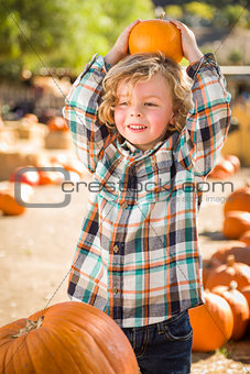 Little Boy Holding His Pumpkin at a Pumpkin Patch 