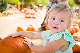Adorable Baby Girl Having Fun at the Pumpkin Patch 