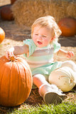 Adorable Baby Girl Holding a Pumpkin at the Pumpkin Patch 