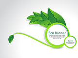 Eco Banner With Leaf