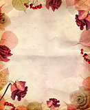 Vintage background with roses 