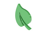 Green leaf icon over white background.