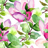 Seamless pattern with Magnolia