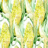 Seamless pattern with corn cobs