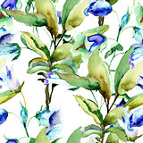 Seamless wallpaper with Summer blue flowers