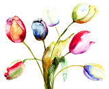 Watercolor painting of Tulips flowers 