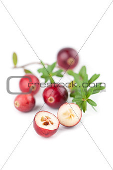 Cranberries on white