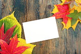 Card and autumn leaves.