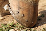 detail of a mounted horseshoe