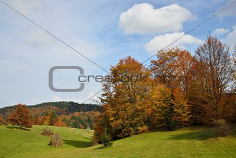 Autumn Mountain Landscape