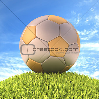 Soccer Ball Gold Silver
