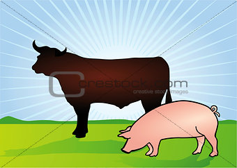 Bull and Pig