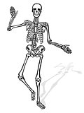 waving skeleton character