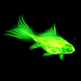 Green fire fish.