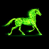 Green fire horse.