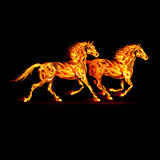 Fire horses.