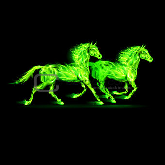 Fire horses in green.
