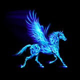 Blue fire Pegasus.
