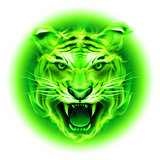 Green fire tiger.