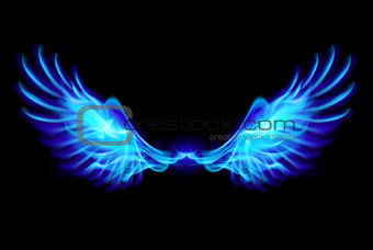 Blue fire wings.
